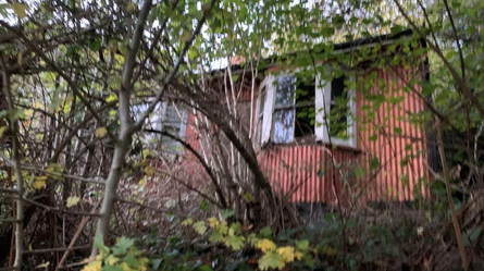 Купити будинок за невеликі гроші, нерухомість, будинок в селі за 1 долар, фото, Велика Британія, аукціон