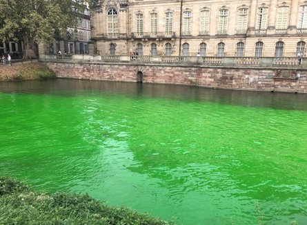 Экоактивисты, Франция, токсичные отходы, покрасили воду в зеленый, отравили рыбу