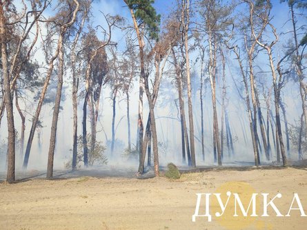 пожар, пожар Караван, пожар Харьков, пожар Харьков, горит лес