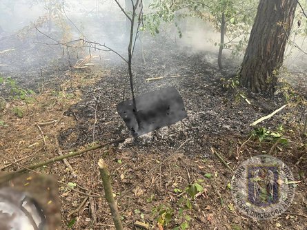 Наслідки падіння уламків в лісопарковій зоні Києва після ракетно-дронової атаки