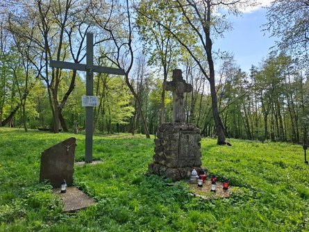 Польская сторона уже собрала образцы ДНК у родственников бывших жителей Пужников