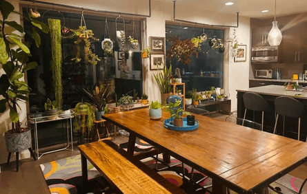 Житло холостяка, переробка квартири, житло холостяка, до і після ремонт, дружина змінила інтер'єр, квартира з рослинами, зелений будинок