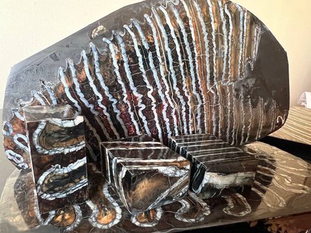 палеонтологические находки, палеонтология, зубы, зубы мамутов, мамуты