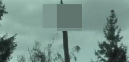 Полонені українці, ЗС РФ, полонені, катування, 16 серпня, голова