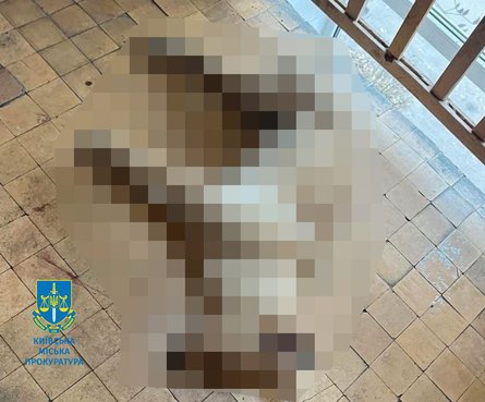 побиття собаки, побиття собаки у Києві, жорстоке поводження з тваринами, киянин побив собаку, побитий собака