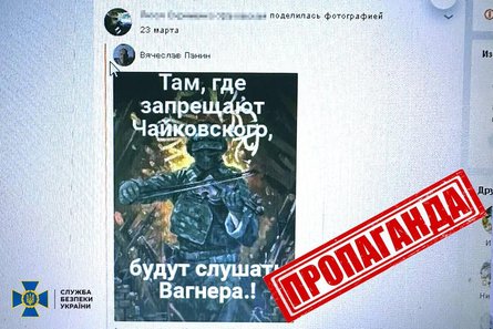 СБУ, Служба безпеки України, агітаторка, прихільниця Путіна, затримання СБУ