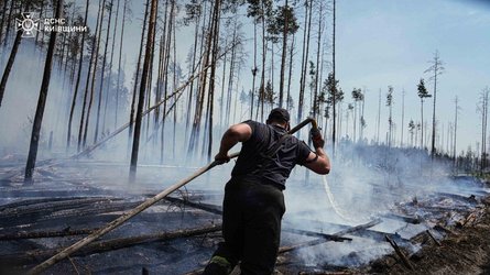 Последствия пожара в Чернобыльской зоне