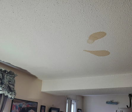 Пятна на потолке почему появляются, следы на потолке, причины почернения потолка в комнатах, что с этим делать, Великобритания, фото