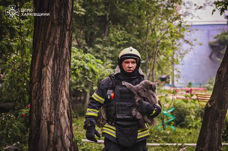 Удар РФ по Харькову и спасатели, которые спасают кота 7 июня