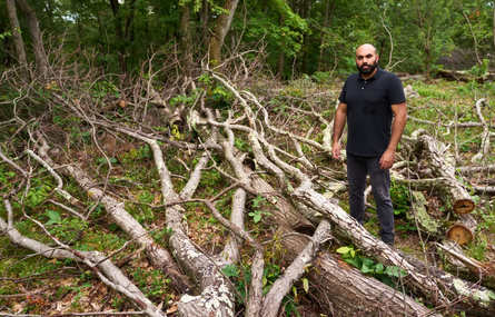 Мільйонер із США, Грант Хейбер з Нью-Джерсі, обрізані дерева, суд, скандал, США, штрафи, курйози, фото