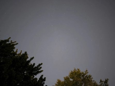 Фото на смартфон Pixel 11 Pro XL