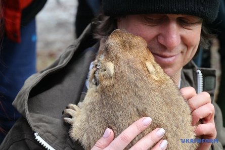 День сурка, прогноз Сурка, сурок Тимка, сурок, сурок, с Днем сурка, день сурка 2024, 2 февраля, сурок 2024, сурок проснулся