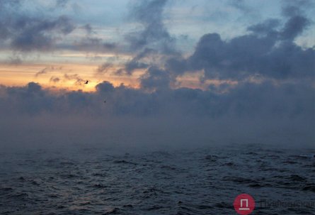 одеса, море, погода, закипіло море, мороз