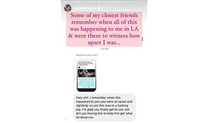 Эшли Франк, развод Бритни Спирс, переписка, Сэм Асгари