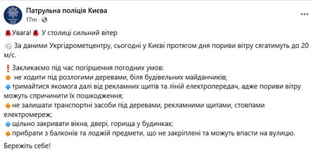 Инцидент в Киеве, непогода в Киеве, ветер, 4 ноября, Патрульная полиция