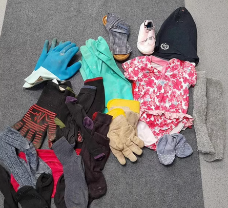 Кішка краде речі з чужих будинків, щоб порадувати власницю, курйози з тваринами, приколи, дивні випадки