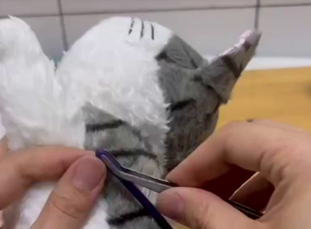 Искусственная мать для котят, спасение животных, коты, домашние любимцы, фото, Китай, курьезы, изобретения