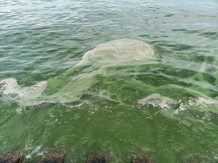 черное море сейчас, одесса сейчас, черное море одесса, черное море сейчас фото