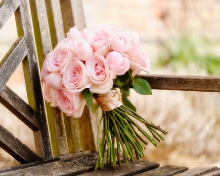 Півоноподібні троянди