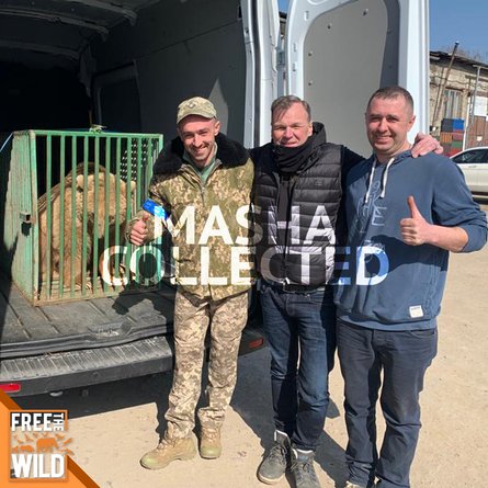 шер, медведица маша, украина медведица, украина медведь, спасение медведя