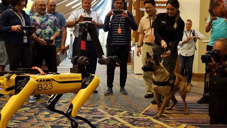 Робот-собака Spot робопес разминирование саперы США Украина мины Boston Dynamics