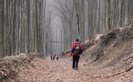 карпати, пошуки зниклого туриста, зниклий турист
