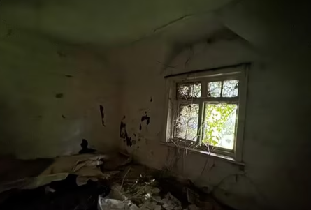 Заброшенный дом, купить недвижимость, фото, аукционы, ремонт, продажа жилья, Великобритания, капсула времени, Великобритания