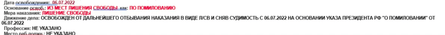 Владимир Путин, указ Путина, Путин помилование, Путин помиловал зэков, Путин Вагнер