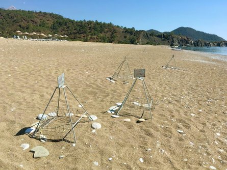 Черепахи каретта, пляжи турции