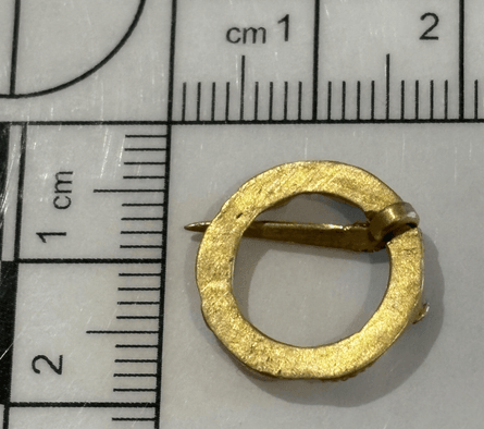 Золотая брошь