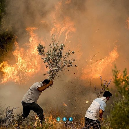 пожежа в Туреччині, гасіння