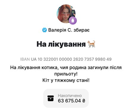 Банку на лікування кішки вже поповнили на понад 63 тисячі гривень