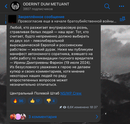 Убийство Ирины Фарион