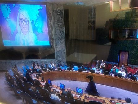 Драгана Трифкович ООН Совет безопасности Сербия пропаганда Мильчаков Кислица