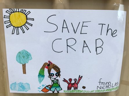 міграція крабів, Австралія, захист крабів