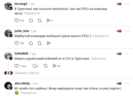 У мережі прокоментували відео з котиком
