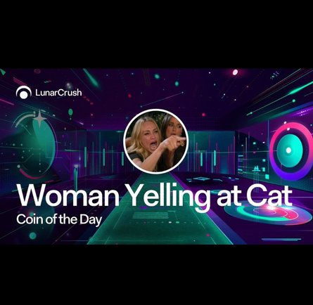 История о меме, мем женщина, которая кричит на кота за столом, Тейлор Армстронг, фото