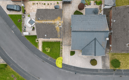 Половина дерева, распиленное дерево, дерево распили пополам, туристическая достопримечательность, ссора соседей, конфликт между соседями