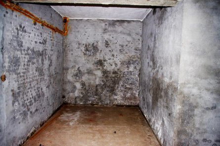 Крим, Севастополь, Кримський півострів, атака по Криму, російське вторгнення, війна РФ проти України, повітряна тривога