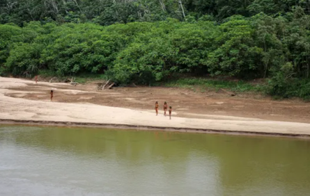 Машко Пиро, одно из самых закрытых в мире племен взбунтовалось против лесозаготовителей, Перу, аборигены, дикари