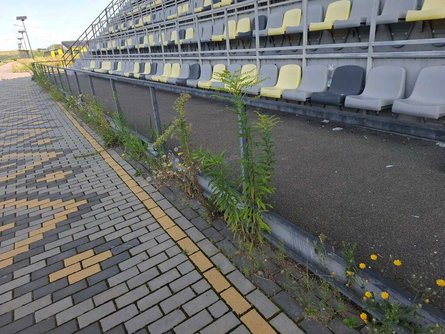 На Водной арене поросли сорняки после большого строительства