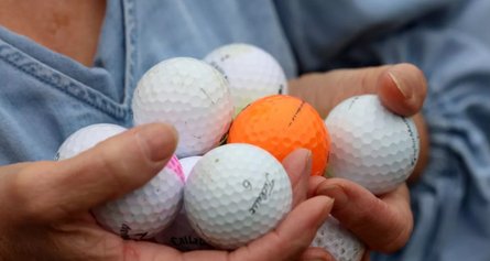 Скандал с соседями, ссора, неприятности, гольф-клуб, мячики