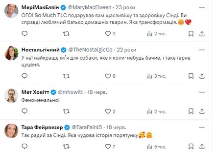 Порятунок собак, порятунок тварин, зоозахисник, лікування собаки