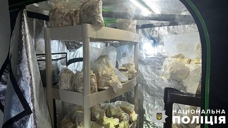 Поліція, шоколад, шоколадки, шоколадка, солодощі, виробництво шоколаду, наркотики, наркодилер, псилоцибінові гриби, гриби наркотики, канабіс, травка, марихуана, ДМТ, психотропи, психотропні речовини