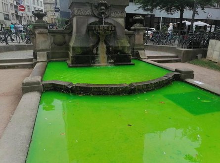 Экоактивисты, Франция, токсичные отходы, покрасили воду в зеленый, отравили рыбу