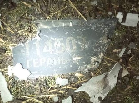 обстрел Украины, ночной обстрел, атака БПЛА, последствия атаки, обстрел дома, разрушения, обстрел конюшни, Полтавская область, Герань