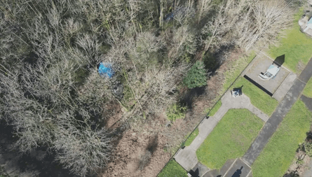 Хижина в парке в США, бездомный, парк, деньги, ищет золото, алмазы, полиция, городской совет, волонтеры, вырыл шахту, хижина