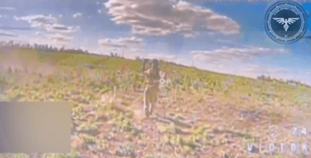 ВС РФ, дрон, нож, БПЛА