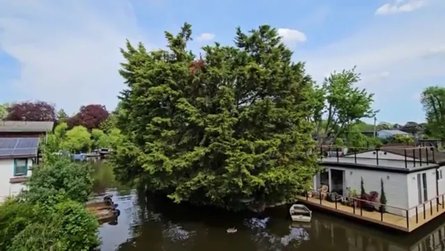 Женщина живет в небольшом доме на воде рядом с секретным островом в Великобритании