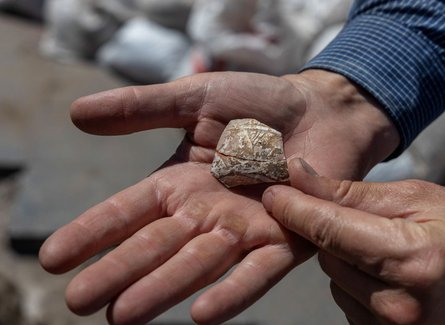 На раскопках в Одессе под Дюком отыскали обломки древнеримской тарелки